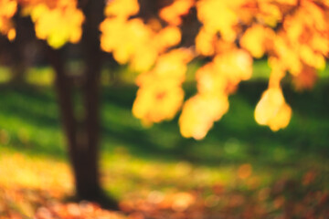 Aufkleber - Autumnal textural  forest scenic abstract background with blur, toned in vintage style, autumn season concept background