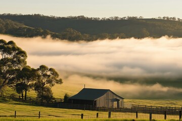 Wall Mural - A foggy morning in a rural area with a small house and a fence. The house is old and has a rustic appearance. The fog is thick and covers the entire scene, creating a sense of mystery and calmness