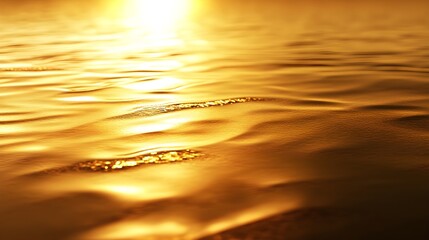 Wall Mural - Golden Reflections on Calm Water Surface at Dusk