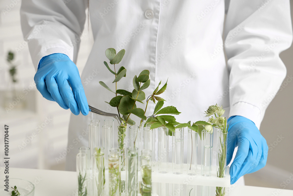 Female scientist working with plants samples and tweezers in laboratory, closeup