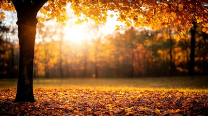 A solitary golden-leafed tree stands in a sunlit clearing, surrounded by a soft-focus autumn forest. Fallen leaves blanket the ground, creating a warm and inviting atmosphere