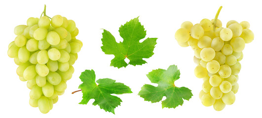 Wall Mural - Collection of white grapes fruits and leaves cut out