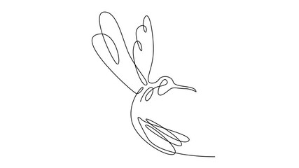 Wall Mural - hummingbird continuous line illustration