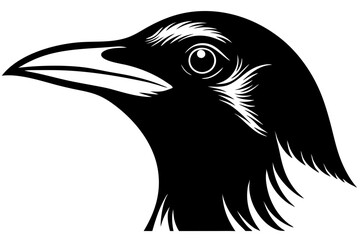 Wall Mural - magpie head  silhouette  vector illustration