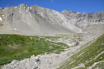 landscape in the mountains, Canadian Rockies