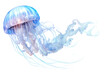 © Oratai - Translucent jellyfish with long flowing tentacles and soft blue glow floating gracefully isolated on white background