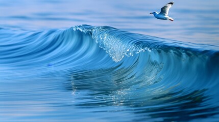 Wall Mural - a close-up of a wave with a lone seagull flying above, the bird's reflection visible in the clear bl