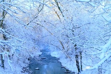 Canvas Print - A picturesque river winds through a snowy forest, flanked by trees covered in fresh, white snow.