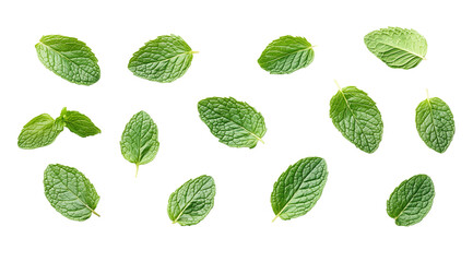 Wall Mural - Mint leaves top view, created with Generative AI technology, PNG