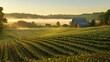 © pinporn manosri - Rows of crops bathed in the soft morning light, with a barn and tractor in the distance and mist rising over the peaceful farm landscape