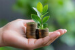 © JERRYsnipe.AI - Growing money concept with hand holding coins and small plant sprouting from them, symbolizing investment and financial growth