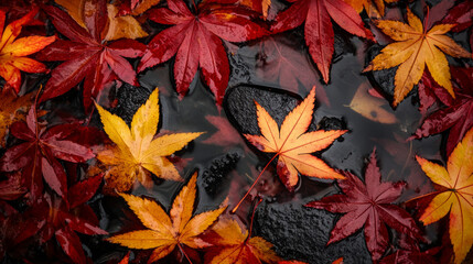 Celebrate Respect for the Aged Day! Beautiful autumn leaves and Japanese patterns remind us to show gratitude to our elders.