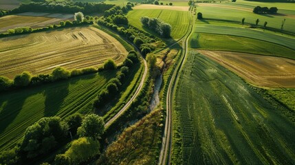 Sticker - Serene Aerial View of Lush Green Countryside Landscape