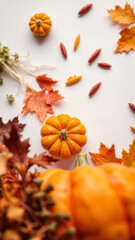 Sticker - Pumpkins and Fall Leaves on White Background