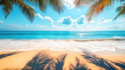 Palm tree casting shadow on tropical beach with turquoise water