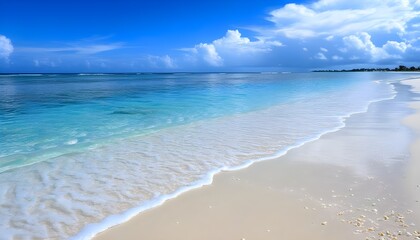 Tranquil coastal scene with starfish and seashells on sandy beach under clear blue sky and gentle ocean waves