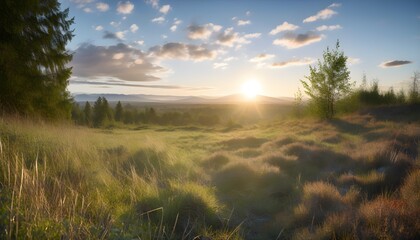 Canvas Print - Tranquil sunset over a lush green field, showcasing scenic summer landscapes with vibrant grass, majestic trees, and panoramic mountain views beneath a clear blue sky