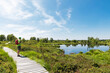 © Westend61 - Senior man standing on boardwalk in High Fens national park, Wallonia, Belgium