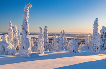 Sticker - winter landscape with trees and snow