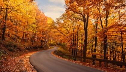 Canvas Print - Autumn road through golden leaves