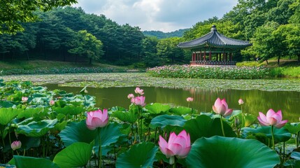 The beautiful lotus flowers blooming in the ponds of the Seoul Forest, creating a serene environment for visitors.