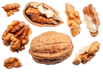 Wall Mural - Set of walnut and walnut kernels leaves isolated on white background. File contains clipping path.