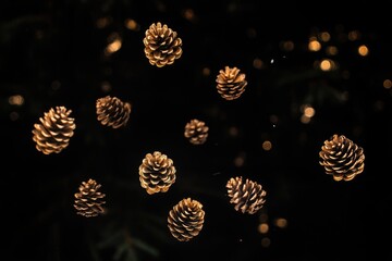 Wall Mural - Golden Pine Cones Floating Against a Black Background