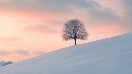 Wall Mural - Solitary Bare Tree on Snowy Hill at Sunset