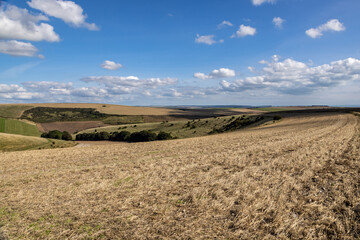 Looking out over agricultural fields in the South Downs, with a blue sky overhead