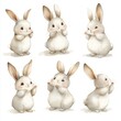 © SunPunjiStudio - Cute Bunny Set.