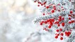 © Igor - Red berries hang from a snow-covered branch, as snowflakes fall softly around them