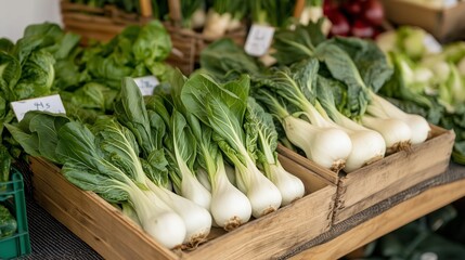 Canvas Print - Fresh produce at a local market featuring bok choy and green vegetables in wooden crates during a sunny afternoon