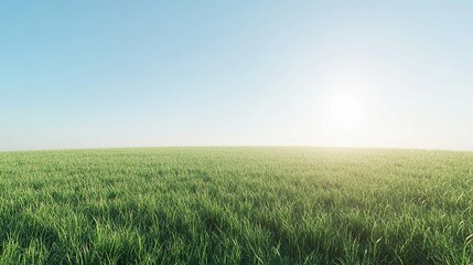 Wall Mural - An expansive empty grass field stretches out under a clear blue sky, creating a tranquil and open landscape.