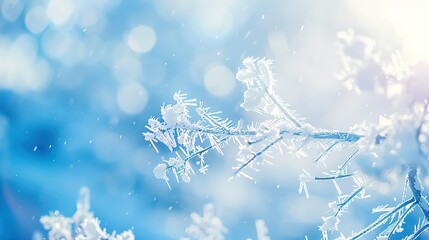 Canvas Print - Blue_fresh_simple_scenery_Frost_and_Frost_Descent