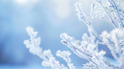 Canvas Print - Blue_fresh_simple_scenery_Frost_and_Frost_Descent