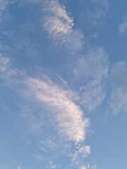 Wall Mural - 
A sunset sky with feathery clouds.