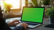 © Pannin - Close-up of an anonymous businessman hands working on a laptop with a green screen mockup, in a bright, professional office, ready for a virtual meeting or presentation.