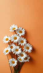 white daisies on a orange pastel paper texture background with copy space