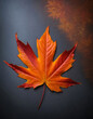 ©  Photinia Art - Maple red leaf on black concrete background