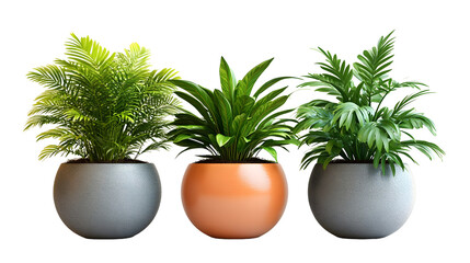 Aufkleber - Assortment of Lush Houseplants in Ceramic Pots Bringing Nature Indoors for a Calming,Harmonious Atmosphere in Home or Office Space