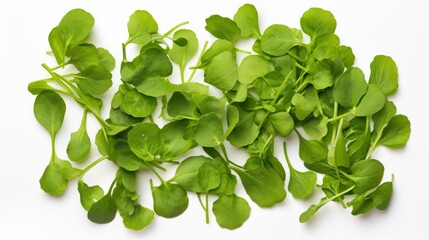 A pristine and fresh group of watercress leaves isolated against a white background, highlighting their vibrant green color and crisp texture.