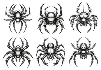 Wall Mural - spider sketches. spiders tattoo vintage drawing, insect poisonous arachnid animal on spiderweb, cree