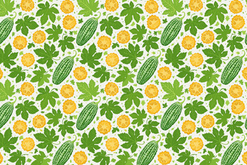 Bitter gourd with leaves vegetables pattern vector illustration