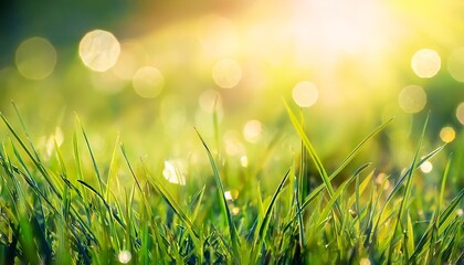 art abstract spring background or summer background with fresh grass