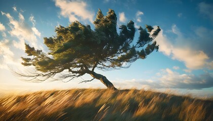 Wall Mural - Resilient tree bending against fierce winds