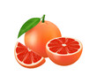 © Sensvector - Grapefruit fresh slice, half and whole fruit realistic vector illustration. Cut grapefruits slice for juice or vitamin c logo. Citrus icon isolated on white background. Healthy summer food