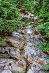 Northwest Creek Landscape 4