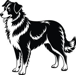 Wall Mural - Australian Shepherd silhouette, illustration white background