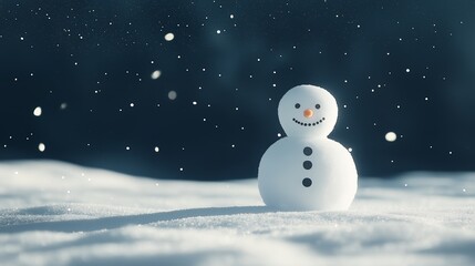 A snowman with a carrot nose and coal eyes stands in a snowy field with falling snow.