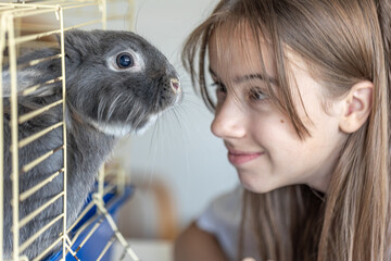 A rabbit lies in a cage. A girl with a rabbit. Brown rabbit close up.